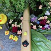 ヒメ日記 2025/06/03 19:24 投稿 このは ぷにぷにプリンセス