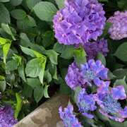 ヒメ日記 2025/06/18 13:46 投稿 このは ぷにぷにプリンセス