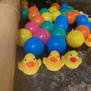 ヒメ日記 2025/09/24 22:22 投稿 このは ぷにぷにプリンセス