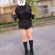 ヒメ日記 2025/11/27 19:30 投稿 このは ぷにぷにプリンセス