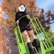 ヒメ日記 2025/11/29 11:18 投稿 このは ぷにぷにプリンセス