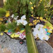 ヒメ日記 2025/12/31 23:28 投稿 このは ぷにぷにプリンセス