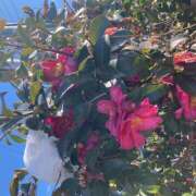 ヒメ日記 2026/02/09 15:16 投稿 このは ぷにぷにプリンセス