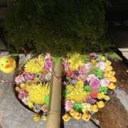 ヒメ日記 2026/03/06 23:58 投稿 このは ぷにぷにプリンセス