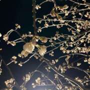 ヒメ日記 2026/03/13 16:28 投稿 このは ぷにぷにプリンセス