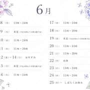ヒメ日記 2026/06/10 11:14 投稿 このは ぷにぷにプリンセス