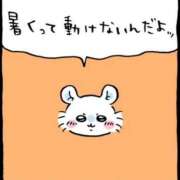 ヒメ日記 2025/04/19 11:15 投稿 かりん バニラシュガー久喜店