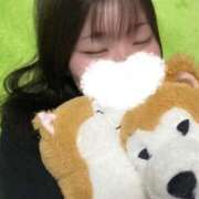 ヒメ日記 2025/05/31 18:45 投稿 かりん バニラシュガー久喜店