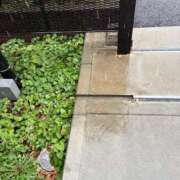 ヒメ日記 2025/09/11 18:25 投稿 かりん バニラシュガー久喜店