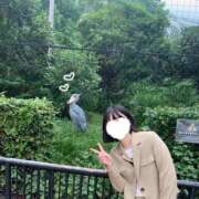 ヒメ日記 2025/11/10 17:55 投稿 かりん バニラシュガー久喜店