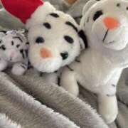 ヒメ日記 2025/11/13 12:45 投稿 かりん バニラシュガー久喜店