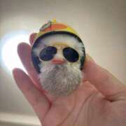 ヒメ日記 2025/12/08 21:45 投稿 かりん バニラシュガー久喜店