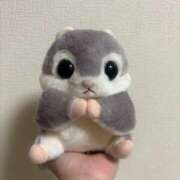 ヒメ日記 2025/04/04 00:35 投稿 かりん バニラシュガー古河店