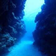 ヒメ日記 2025/03/16 20:02 投稿 まお 海上空天 SHANGHAI HEAVEN