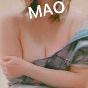 ヒメ日記 2025/04/19 18:03 投稿 まお 海上空天 SHANGHAI HEAVEN