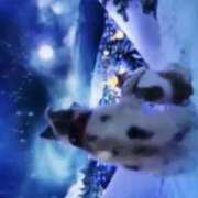 ヒメ日記 2024/12/22 18:06 投稿 北条 東京セレブな美人妻