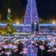 ヒメ日記 2025/01/25 21:57 投稿 北条 東京セレブな美人妻