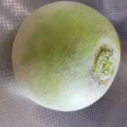 ヒメ日記 2025/06/11 22:52 投稿 北条 東京セレブな美人妻