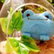 ヒメ日記 2025/06/15 03:44 投稿 北条 東京セレブな美人妻