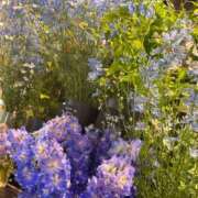 ヒメ日記 2025/06/24 14:36 投稿 北条 東京セレブな美人妻