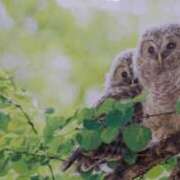 ヒメ日記 2025/12/09 18:15 投稿 北条 東京セレブな美人妻