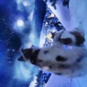 ヒメ日記 2025/12/25 18:06 投稿 北条 東京セレブな美人妻