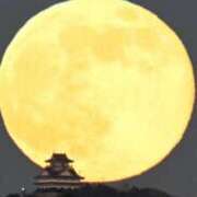 北条 節がわりのスノームーン❣️ 東京セレブな美人妻