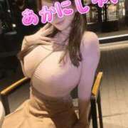 ヒメ日記 2025/02/12 00:16 投稿 赤西ゆい ウルトラブレイズ