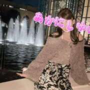 ヒメ日記 2025/02/18 21:26 投稿 赤西ゆい ウルトラブレイズ