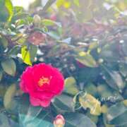 ヒメ日記 2025/01/17 09:55 投稿 橘 さゆり 快楽園 大阪梅田