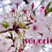 ヒメ日記 2025/04/05 15:03 投稿 橘 さゆり 快楽園 大阪梅田