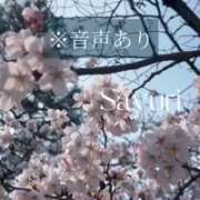 ヒメ日記 2026/03/29 23:16 投稿 橘 さゆり 快楽園 大阪梅田