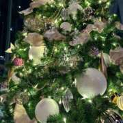 ヒメ日記 2024/12/20 00:03 投稿 さくら ごほうびSPA五反田店