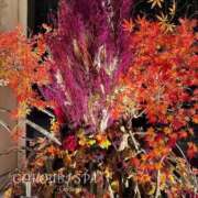 ヒメ日記 2025/10/24 05:40 投稿 さくら ごほうびSPA五反田店