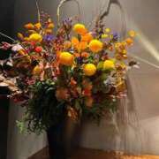 ヒメ日記 2025/11/16 01:00 投稿 さくら ごほうびSPA五反田店