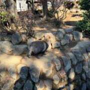 ヒメ日記 2025/05/31 15:10 投稿 みやび One More奥様 大宮店