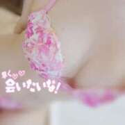 ヒメ日記 2025/02/24 12:00 投稿 茂森　のぞみ スッキリ商事