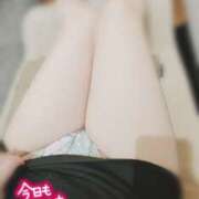 ヒメ日記 2025/04/01 01:30 投稿 茂森　のぞみ スッキリ商事