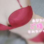 ヒメ日記 2025/04/05 12:30 投稿 茂森　のぞみ スッキリ商事