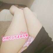 ヒメ日記 2025/06/08 01:30 投稿 茂森　のぞみ スッキリ商事