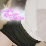 ヒメ日記 2025/09/16 01:00 投稿 茂森　のぞみ スッキリ商事