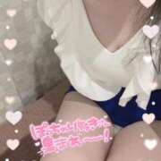 ヒメ日記 2025/10/02 15:07 投稿 おもち 奥様特急長岡店