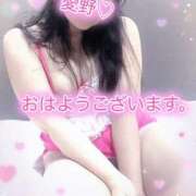 ヒメ日記 2025/06/26 11:57 投稿 愛野（あいの） 熟女の風俗最終章 名古屋店