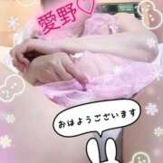 ヒメ日記 2026/01/24 11:52 投稿 愛野（あいの） 熟女の風俗最終章 名古屋店