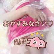 ヒメ日記 2026/04/01 03:12 投稿 愛野（あいの） 熟女の風俗最終章 名古屋店