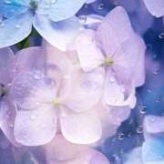 ヒメ日記 2025/06/02 23:11 投稿 ゆな 千葉松戸ちゃんこ