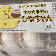 ヒメ日記 2025/07/01 08:17 投稿 ゆな 千葉松戸ちゃんこ