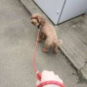 ヒメ日記 2025/07/11 07:12 投稿 ゆな 千葉松戸ちゃんこ