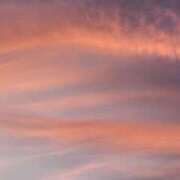 ヒメ日記 2025/07/20 12:48 投稿 ゆな 千葉松戸ちゃんこ