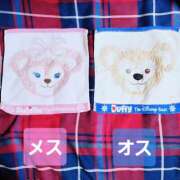 ヒメ日記 2025/11/08 12:53 投稿 ゆな 千葉松戸ちゃんこ